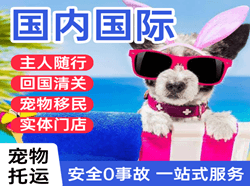 若羌楼兰机场物流国际宠物托运 【国